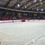 PPP_9750_AHI_Halle_hell