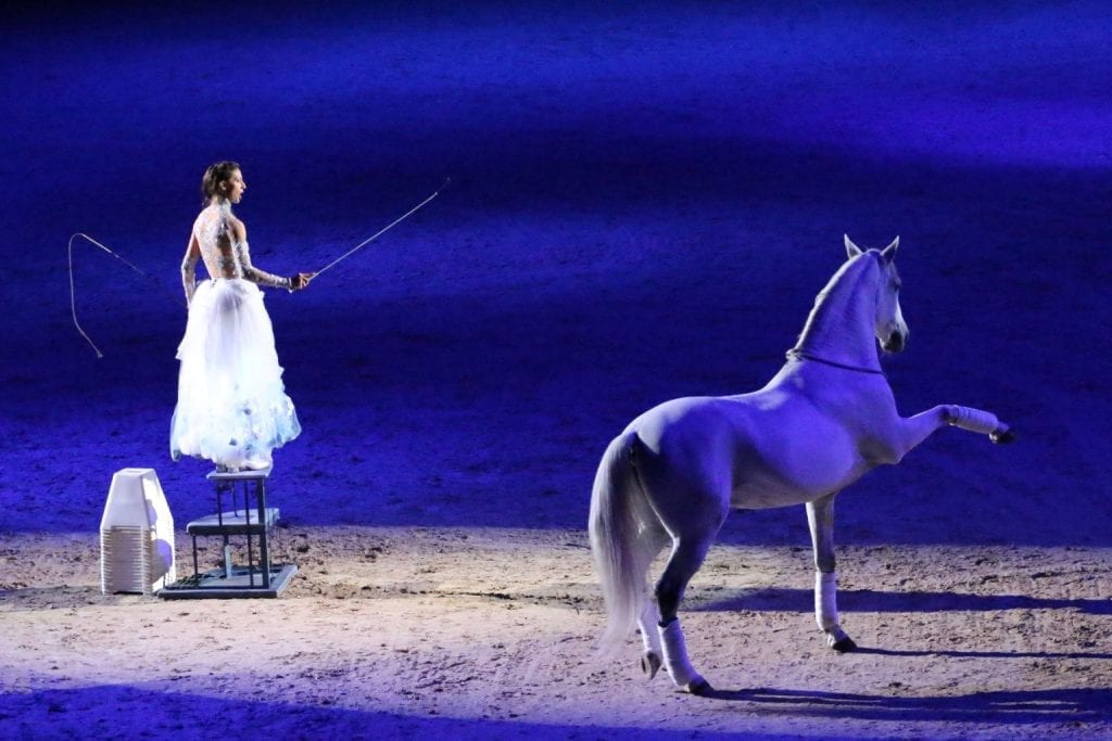Mit ihren bezaubernden Auftritten begeistert Alizée Froment Pferdefans auf der ganzen Welt. © Alizée Froment