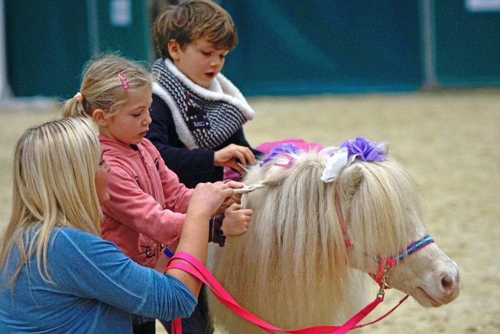 Ein einzigartiges Ponyeiterlebnis für die Jüngsten. © Salzburg Cityguide