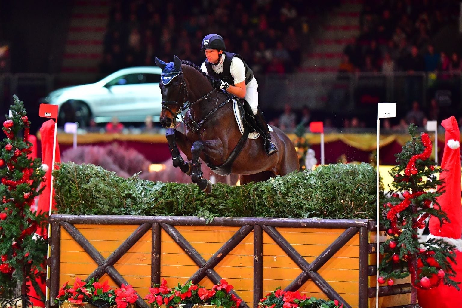 Spektakuläre AMADEUS HORSE INDOORS! Amadeus Horse Indoors