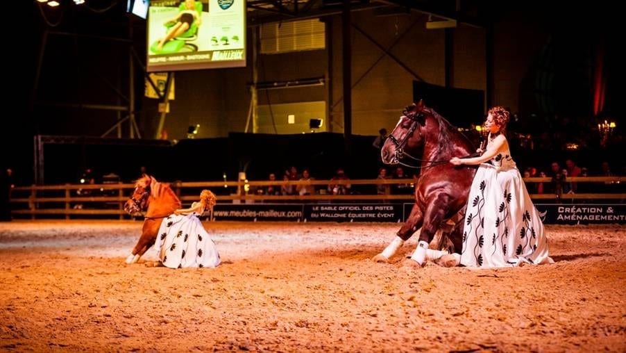 Pferdesport, Shopping & Show – die Amadeus Horse Indoors 2017 versprechen ein buntes Prorgamm für die ganze Familie. © Antoine Bassaler