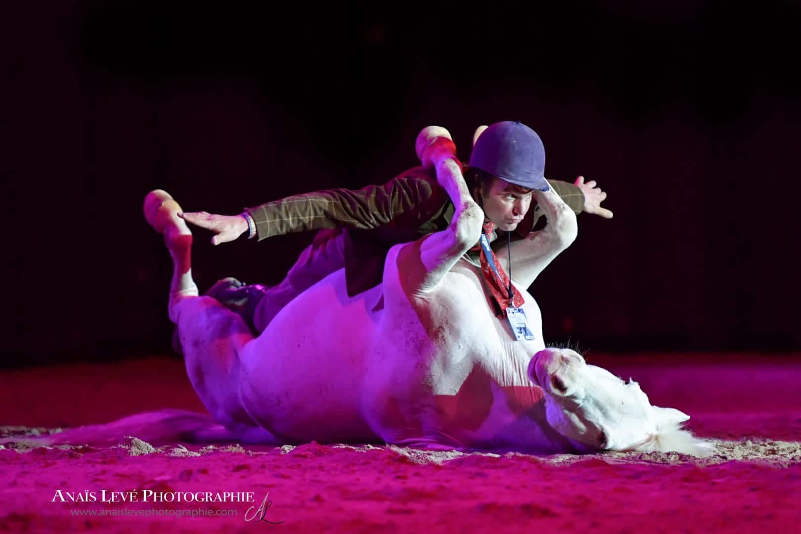 Showtime! Showstars wie Laurent Galinier und die Mica Dogs kommen. © Anais Levé Photographie