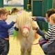 Der Verein "Pferde für unsere Kinder" und die Amadeus Horse Indoors machen gemeinsame Sache. © salzburg-cityguide.at