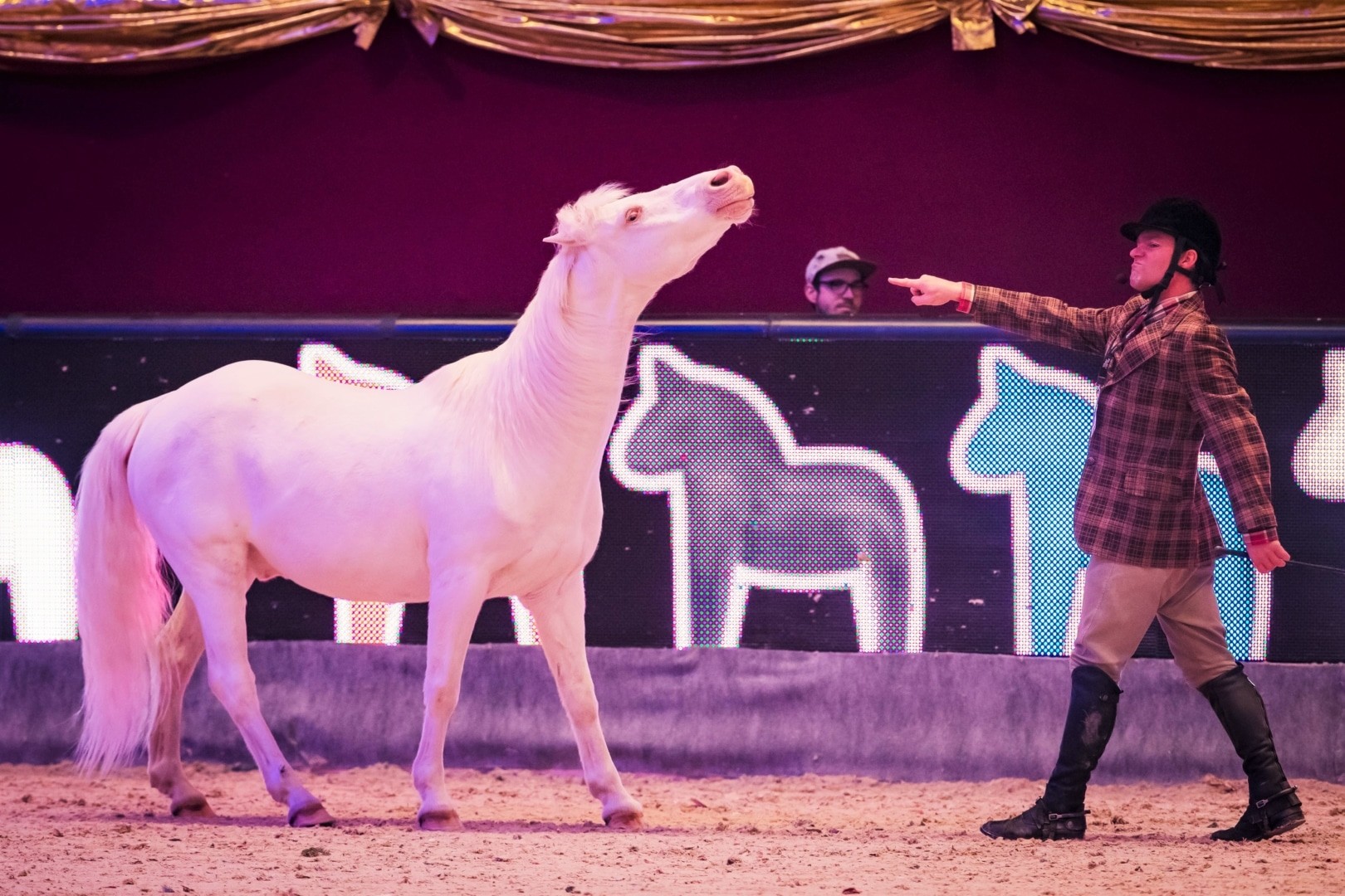 Nur ein Ticket für Messe, Sport & Show bei der Amadeus Horse Indoors 2019. von 5.-8. Dezember in Salzburg. © Daniel Kaiser