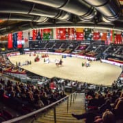 Die Amadeus Horse Indoors 2019 bietet am 1. Adventwochenende (5.-8.12.2019) im Messezentrum Salzburg wieder ein abwechslungsreiches Pferde- und Hundesportprogramm für Zuseher jeder Altersklasse. © Daniel Kaiser