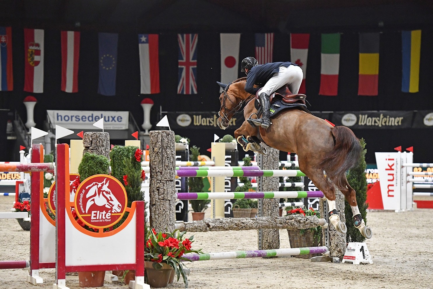 Auftaktsieg in der Salzburgarena im CSI4* Eröffnungsspringen für Felix Haßmann (GER) auf Balance. © Sibil Slejko