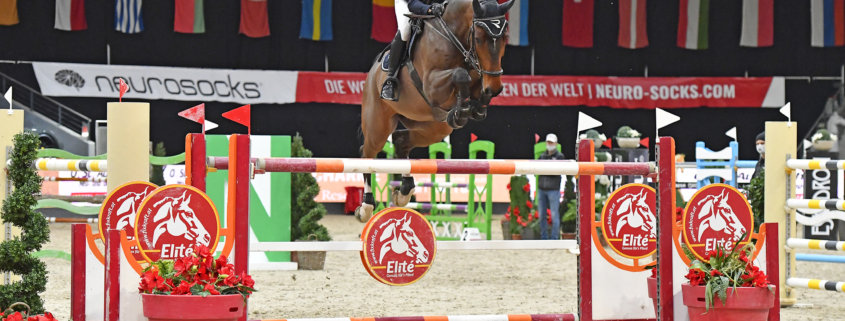 Unterstützung für die Bewerbung als Weltcupstation erhält die Amadeus Horse Indoors GmbH auch von Championatsreiterin Katharina Rhomberg, am Foto mit ihrem WM-Pferd Cuma zu Gast in der Salzburgarena. © Sibil Slejko